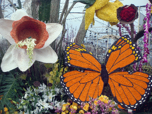 Make Dreams Real, From CreativeCommonsPhoto Make Dreams Real, From CreativeCommonsPhoto