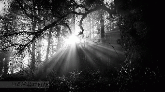 ...come into the light..., From CreativeCommonsPhoto ...come into the light..., From CreativeCommonsPhoto