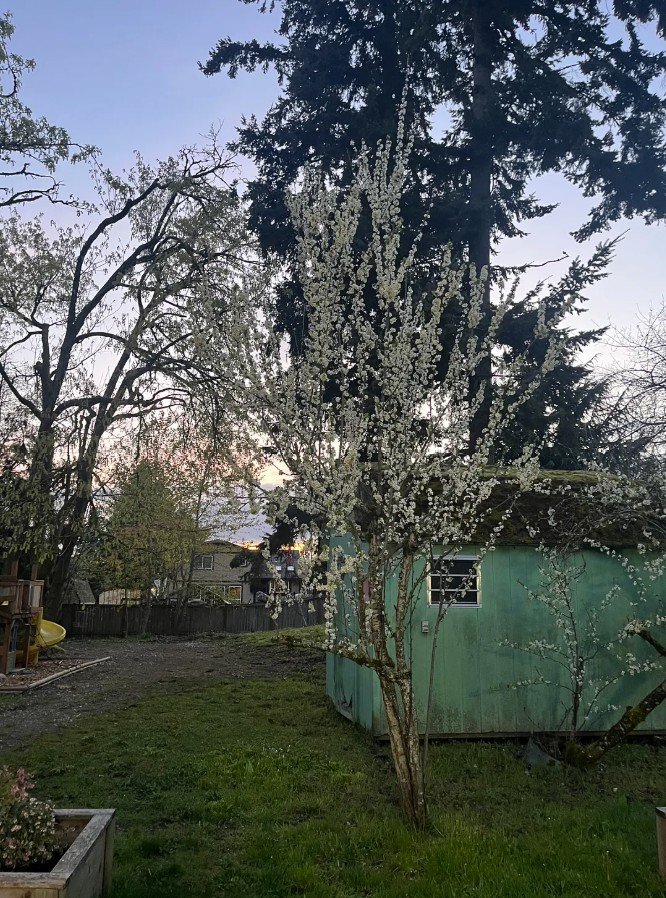 From Uploaded From Uploaded